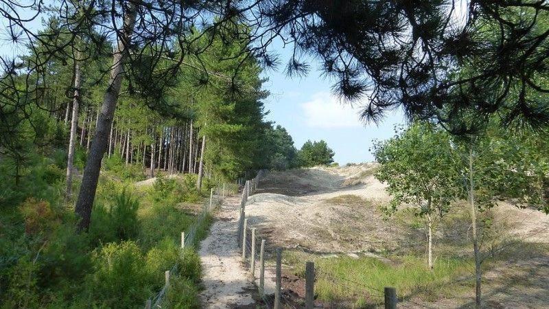 Hamac - Vue Mer - 100M Plage Berck エクステリア 写真